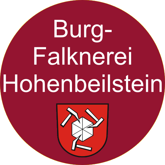 Burgfaknerei Hohenbeilstein 7 Kilometer